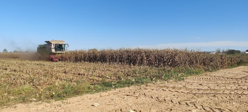 Producción Agroecológica en Cfmr De Don Benito (Cfmr De Don Benito): foto 5