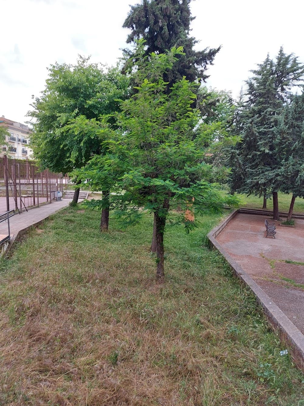 Educació Infantil a Barbara De Braganza (Barbara De Braganza, Badajoz): foto 3