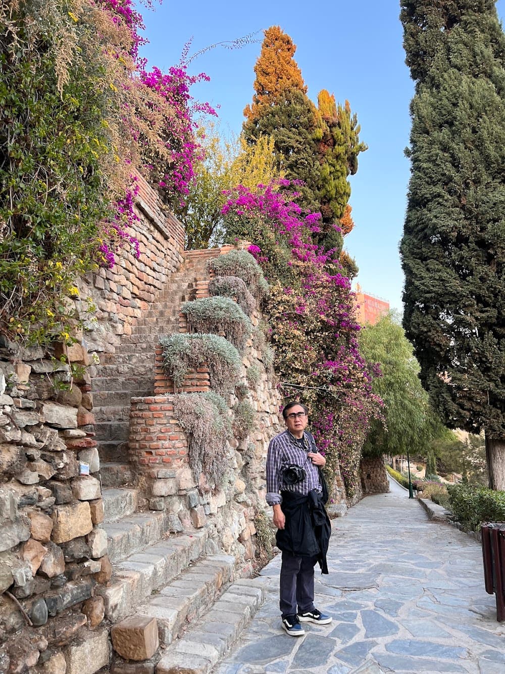 Gestió Administrativa a Jardines De Puerta Oscura (Jardines De Puerta Oscura, Málaga): foto 2