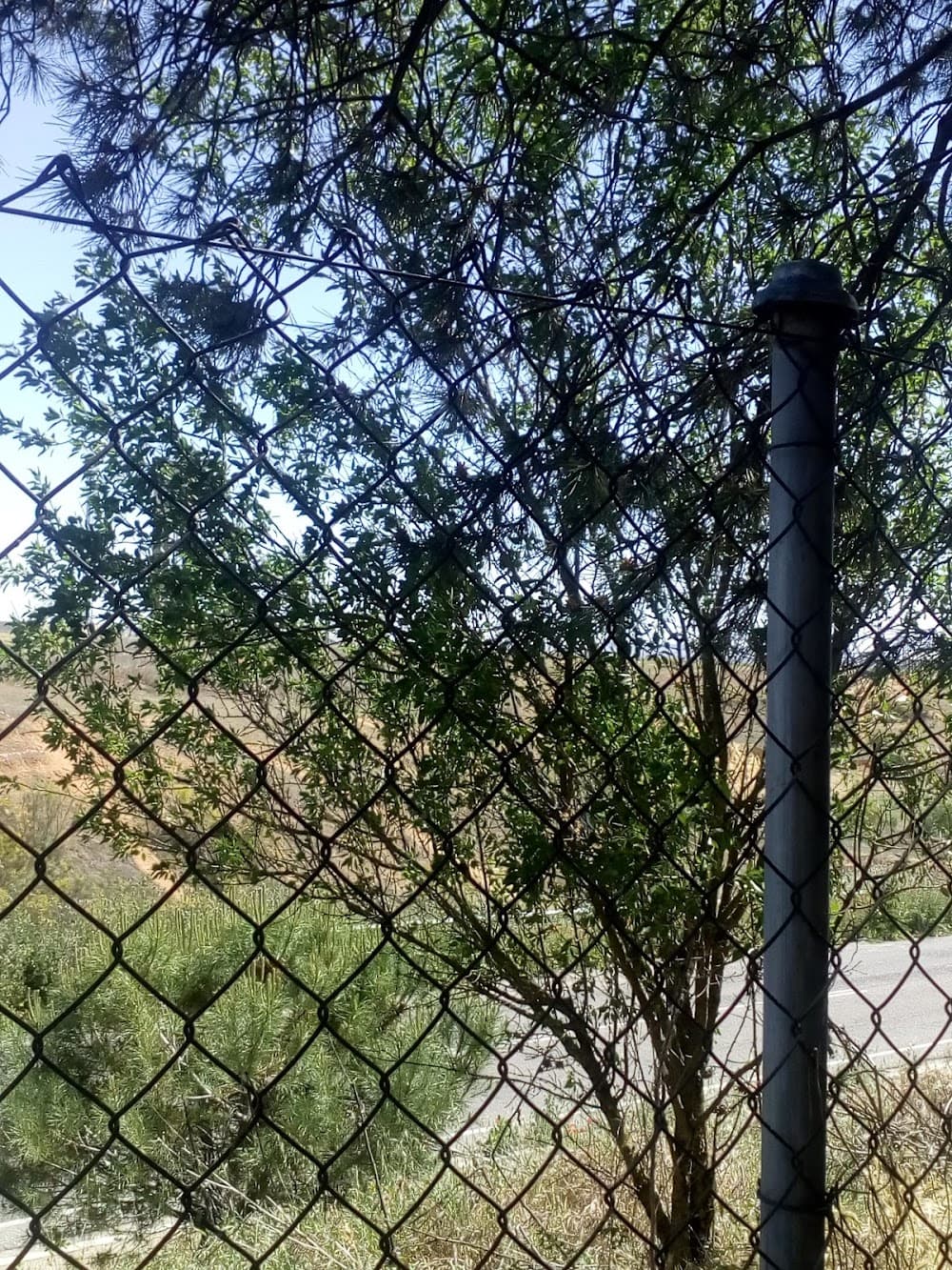 Foto del campus González Allende