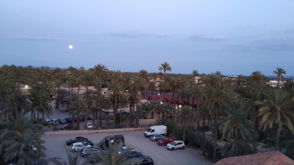 Mantenimiento Electrónico en La Torreta (La Torreta, Elche): foto 5