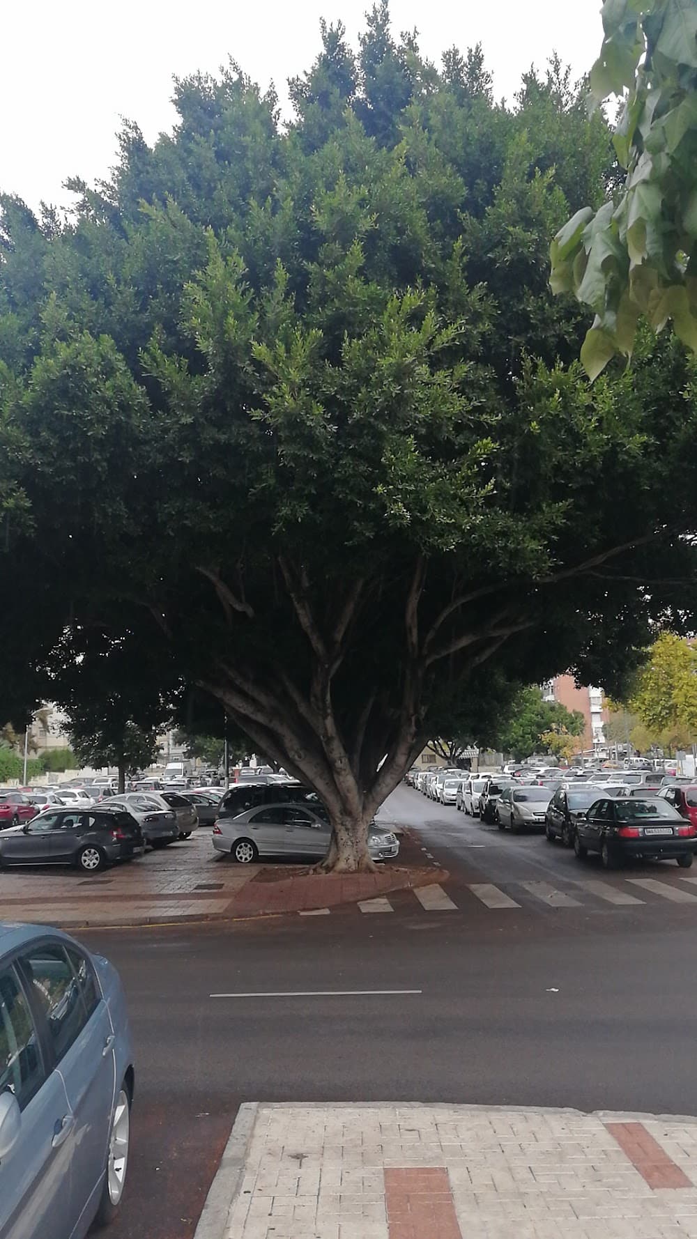 Foto secundaria del campus Portada Alta