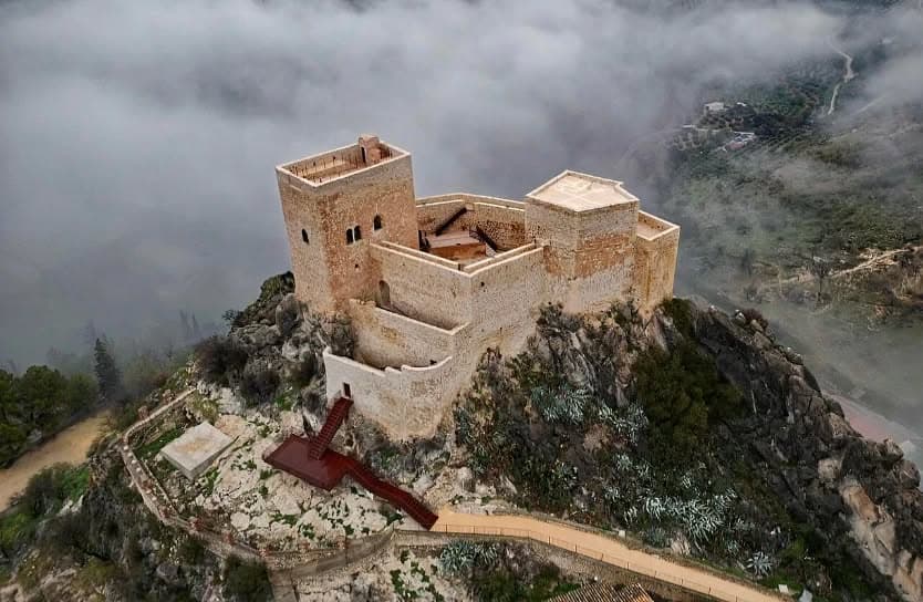 Olis D'oliva I Vins a Castillo De Albenzaide (Castillo De Albenzaide, Luque): foto 4