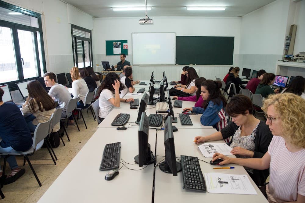 Gestión Administrativa en Santo Cristo (Santo Cristo, Ourense): foto 3