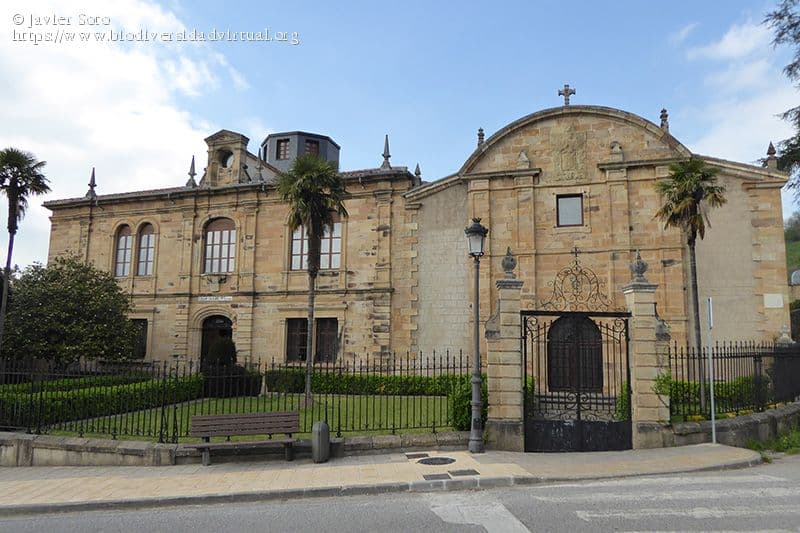Foto del campus Calasanz