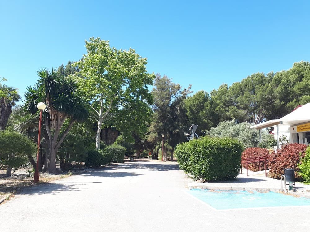 Jardineria I Floristeria a Cifea De Torre Pacheco (Cifea De Torre Pacheco, Torre-pacheco): foto 4