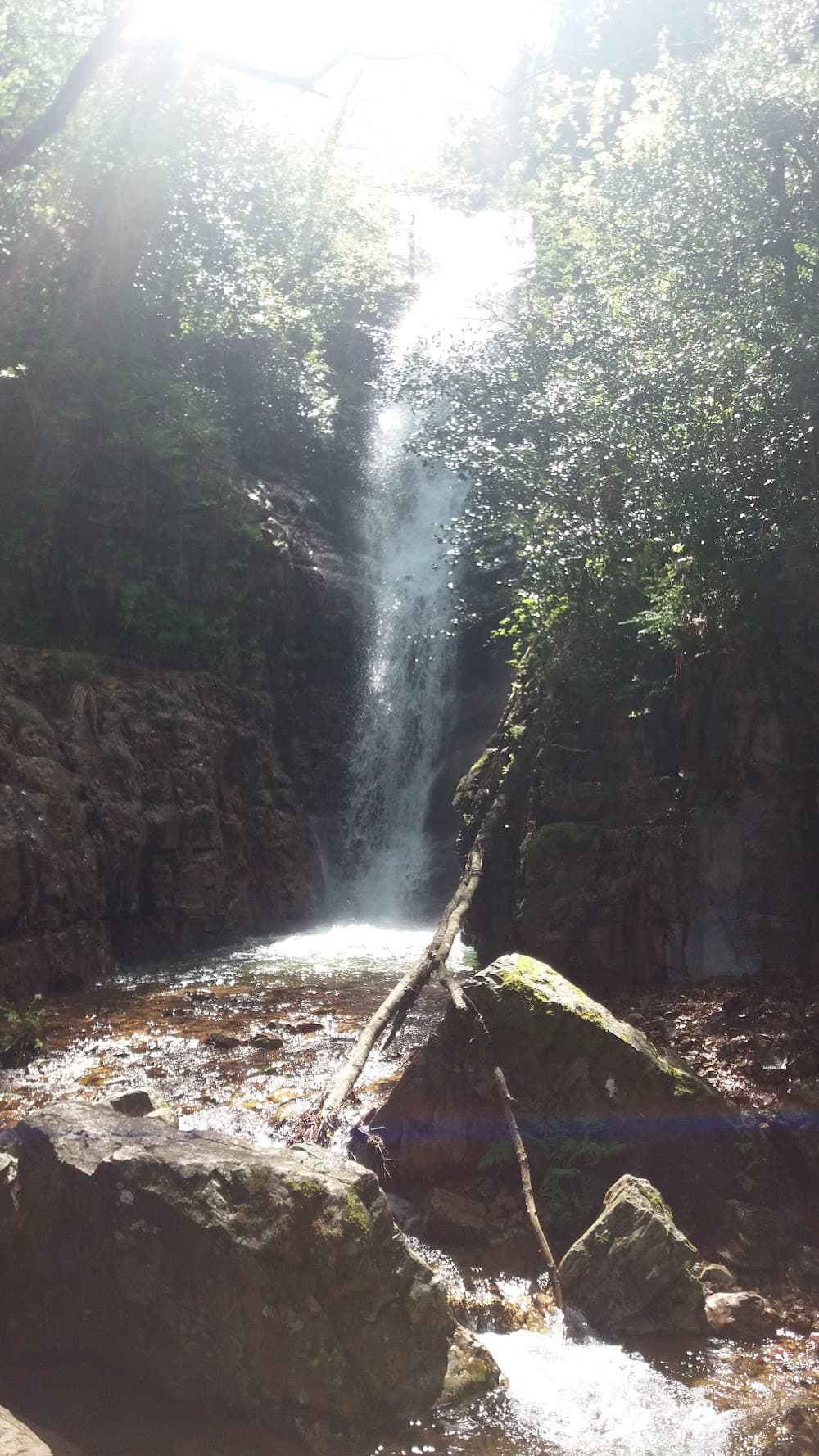 Foto secundaria del campus La Sisla
