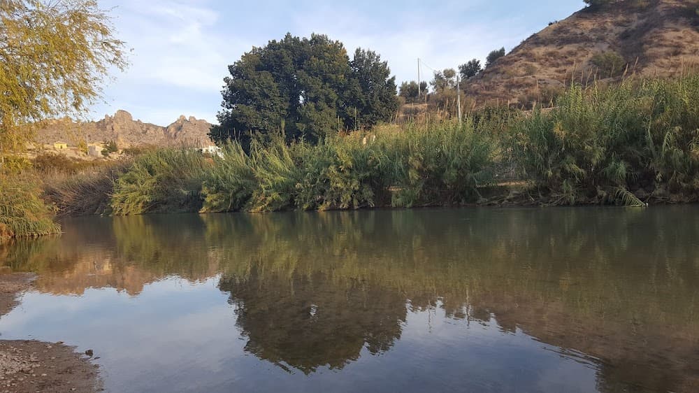 Gestión Administrativa en Villa De Abarán (Villa De Abarán): foto 2