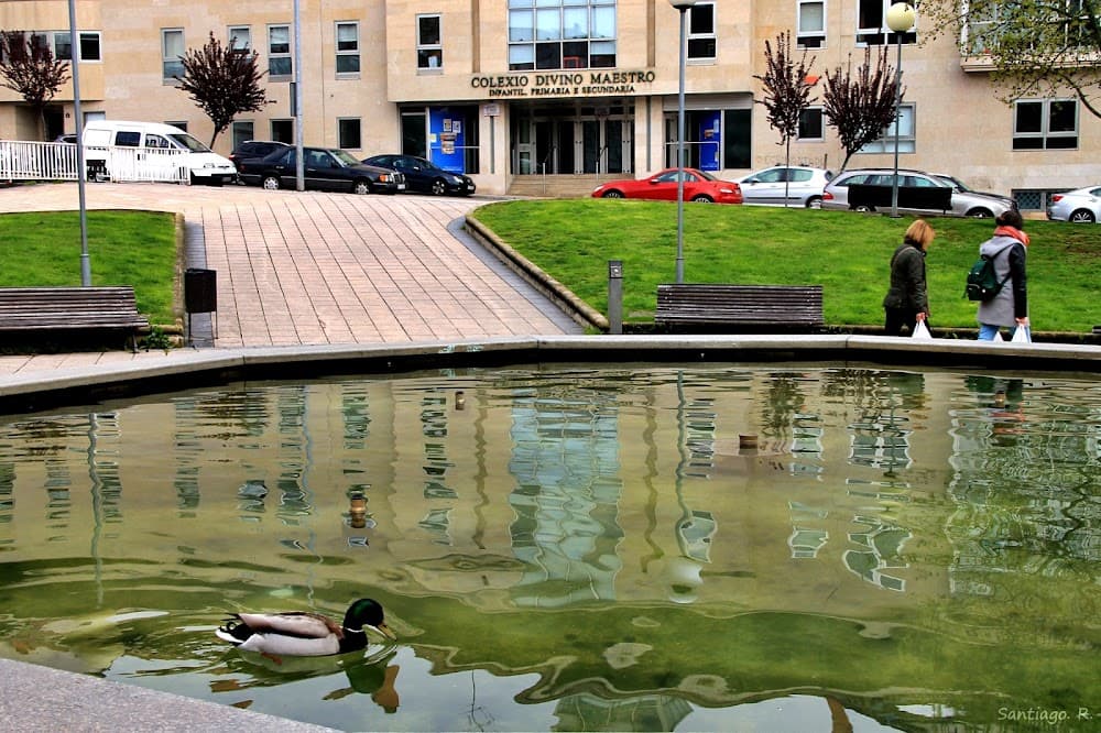 Activitats Comercials a Divino Maestro (Divino Maestro, Ourense): foto 2