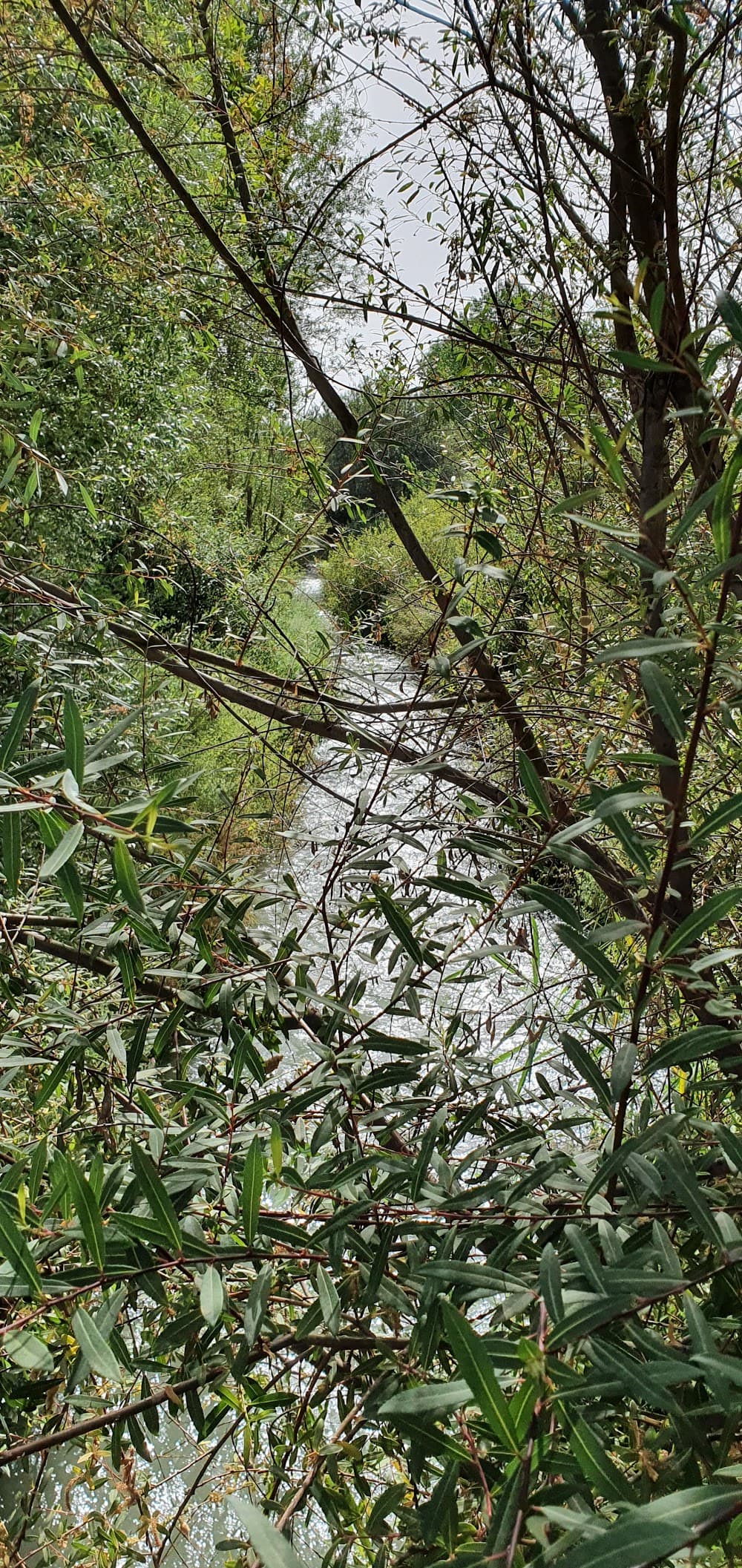 Foto secundaria del campus María Nebrera