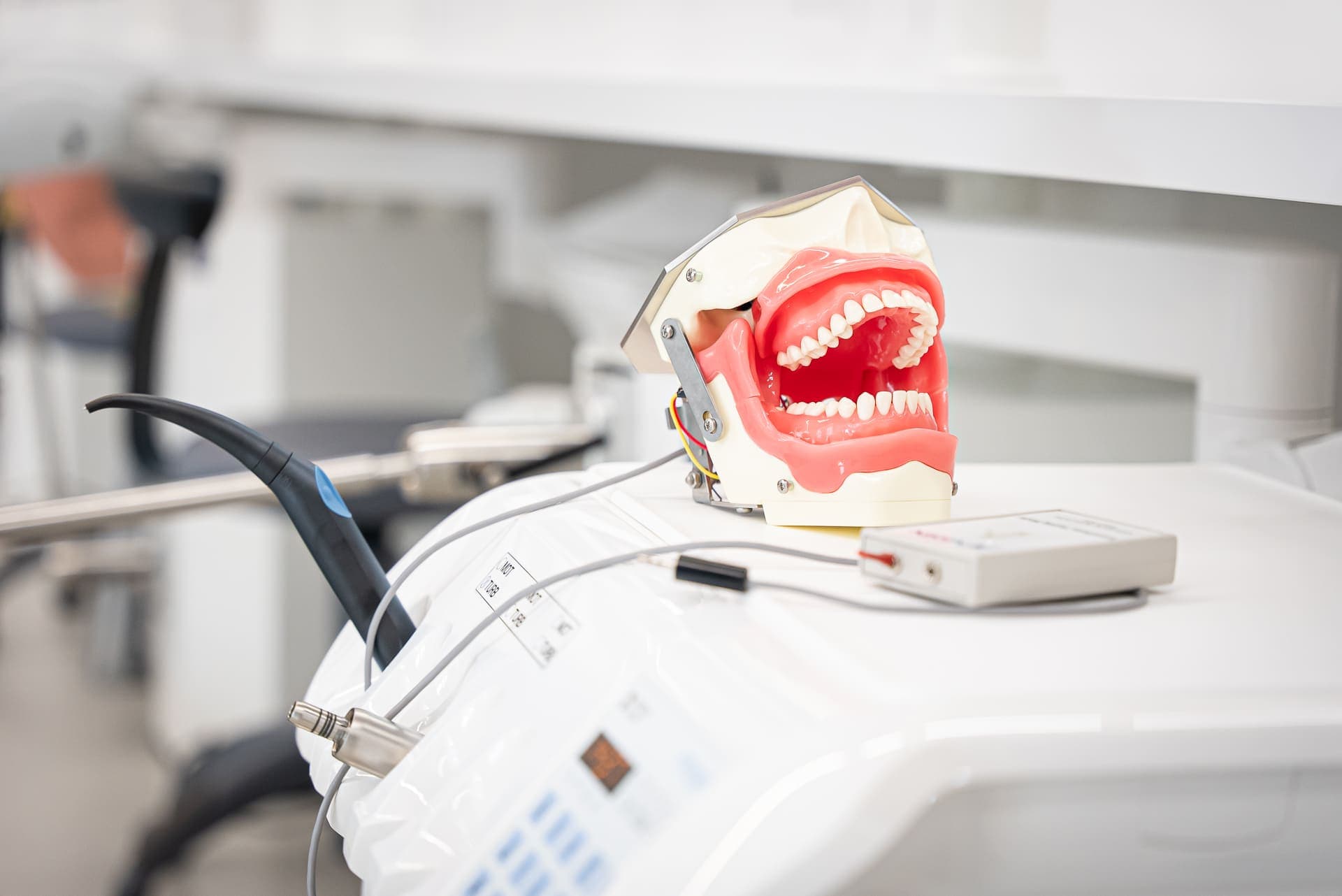 Odontología en UVIC-UCC (Facultad de Medicina, Vic): foto 4