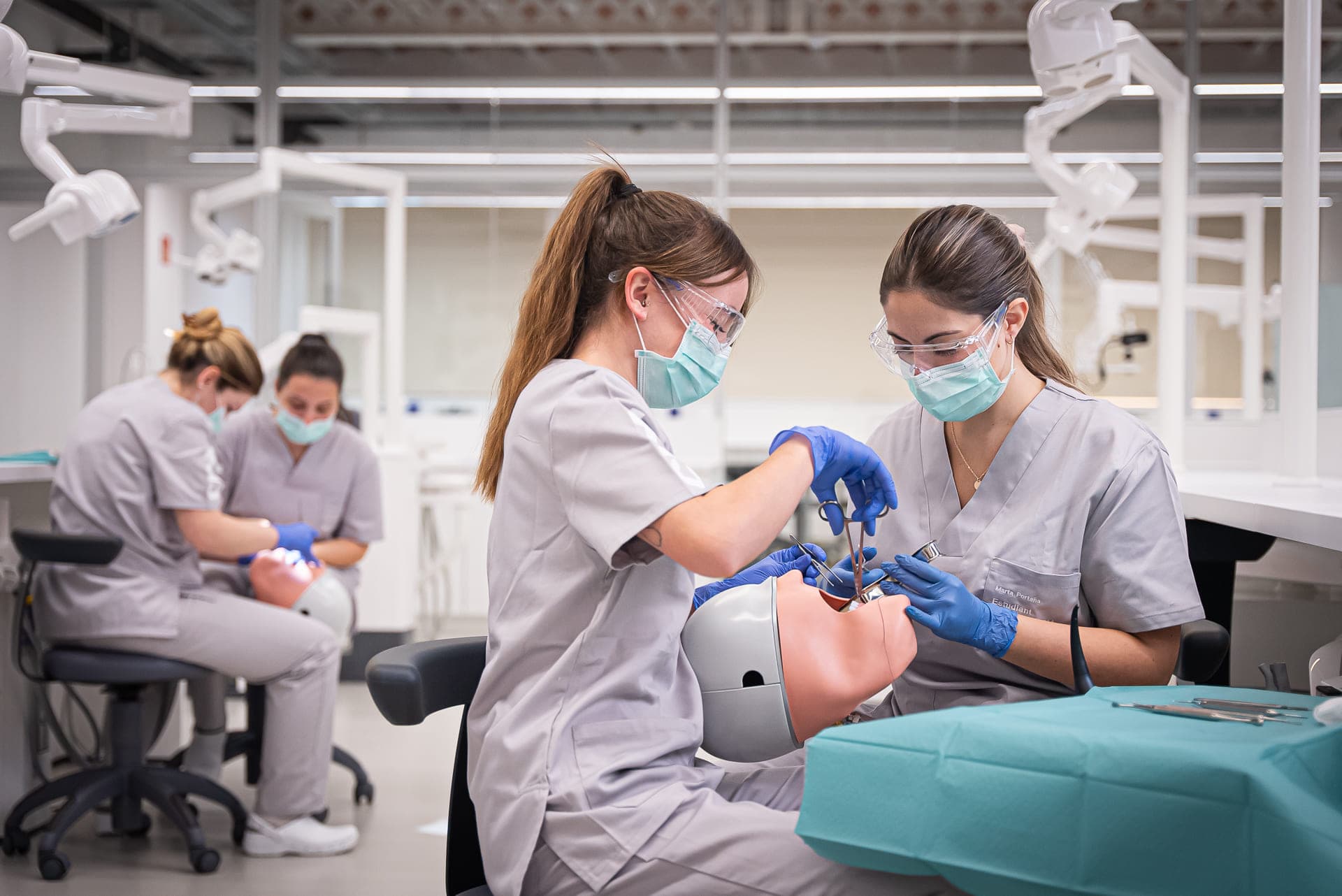 Odontología en UVIC-UCC (Facultad de Medicina, Vic): foto 3