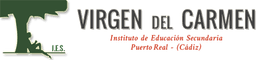 Virgen Del Carmen