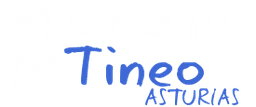 I.e.s. "concejo De Tineo"