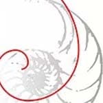 Politécnico