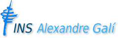 Institut Alexandre Galí