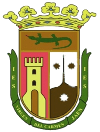 Virgen Del Carmen