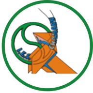 Schamann