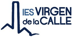 Virgen De La Calle