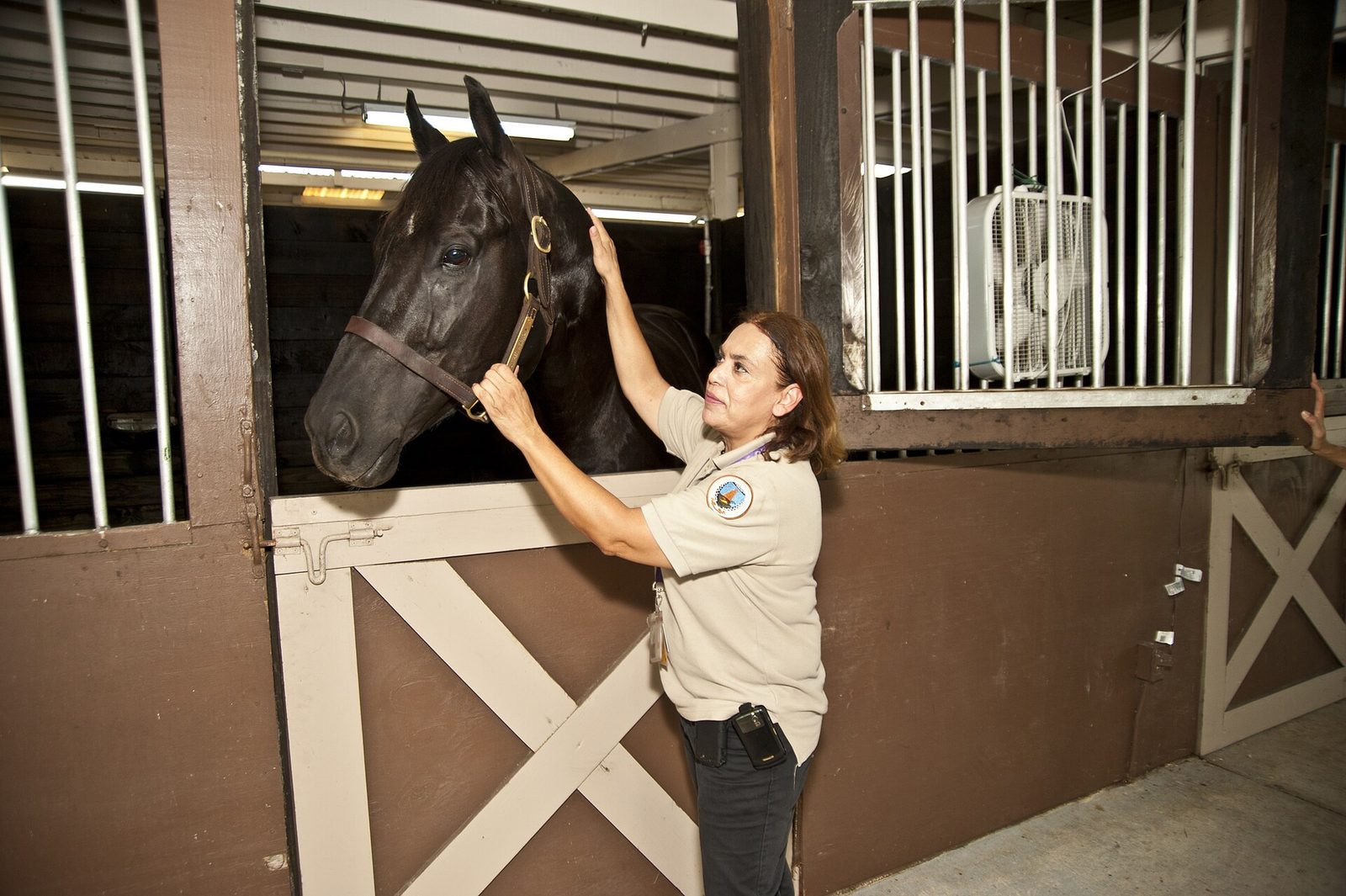 Inspector Veterinario de Salud Pública
